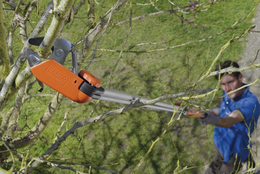 Tailler les arbres en hauteur avec un coupebranche télescopique Tailler les arbres en hauteur avec un coupebranche télescopique