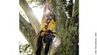 Petzl propose les cordes Flow et Control. Ici, Ryan Torcicollo est en train d'évoluer dans un arbre.