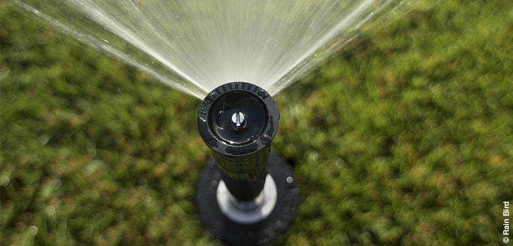 Méthode d'arrosage pour la reprise des jeunes arbres après plantation