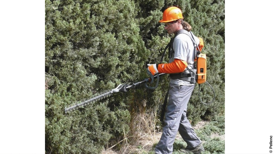 Élément élagueuse pour multifonction 4 en 1 et outil sur perche, tête  orientable