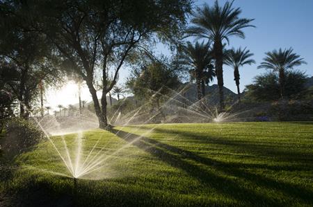 Systèmes d'arrosage: En été, ne laissez pas votre jardin et vos plantes  souffrir de la sécheresse