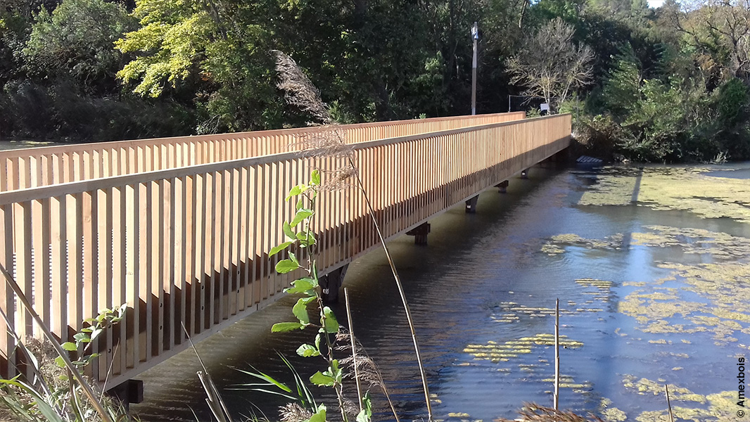 Pont de jardin - pont de bassin - passerelle en bois avec