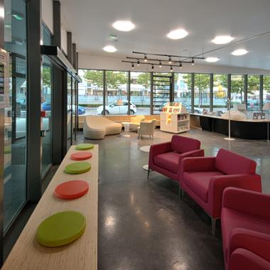 Sellerie de rénovation