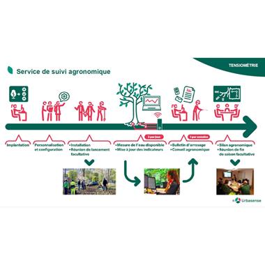 Suivi tensiométrique des arbres