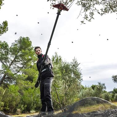 Vibreur à olives électrique