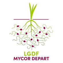 Mycorhizes à la demande