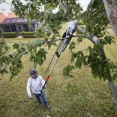 Scie sur perche 2-en-1
