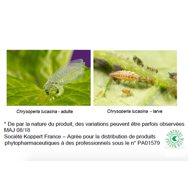 Macro organismes de lutte biologique