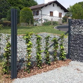Clôture végétalisable