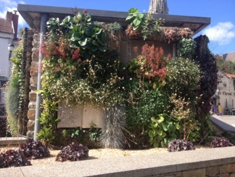 Façade végétalisable ou jardin vertical