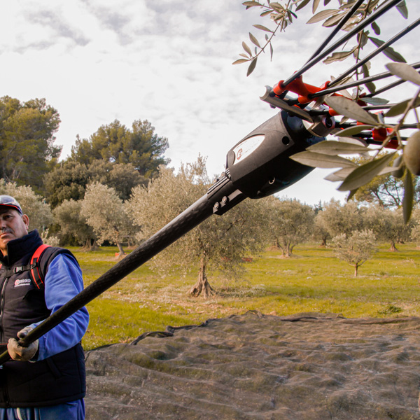 Vibreur à olives électrique