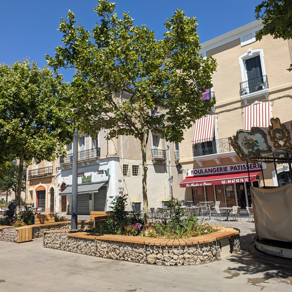 Entourage d'arbre - Photo