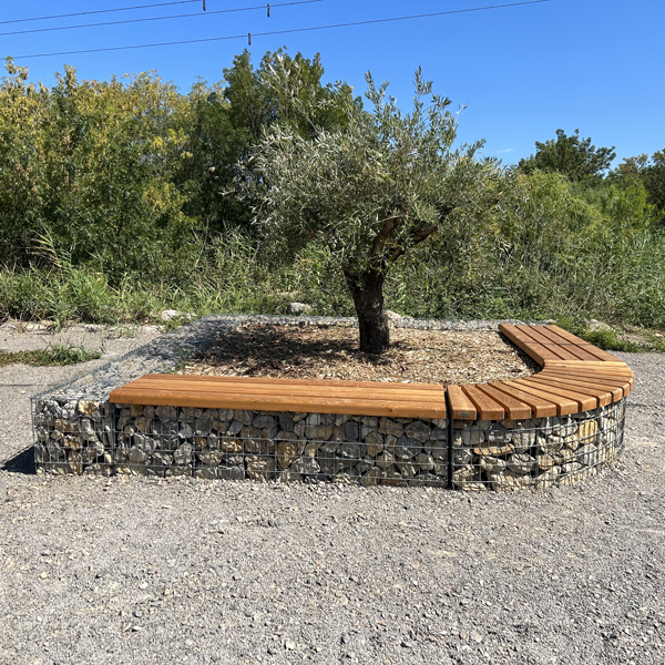 Entourage d'arbre - Photo