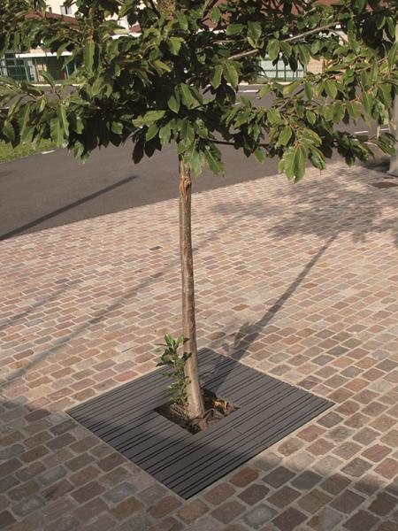 Grille d'arbre - Photo