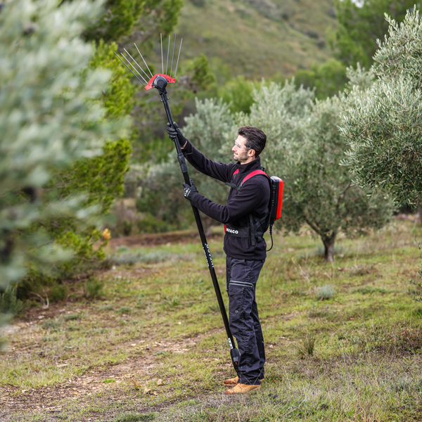 Vibreur à olives électrique - Photo