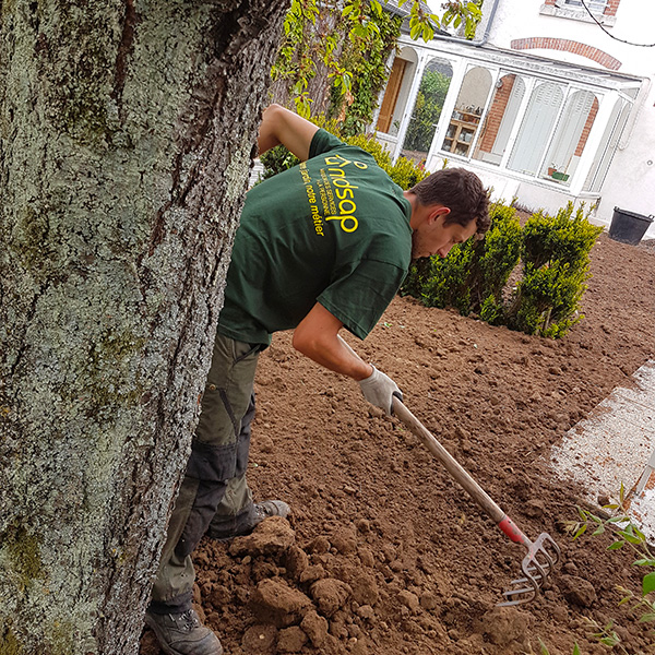 Petits travaux de jardinage