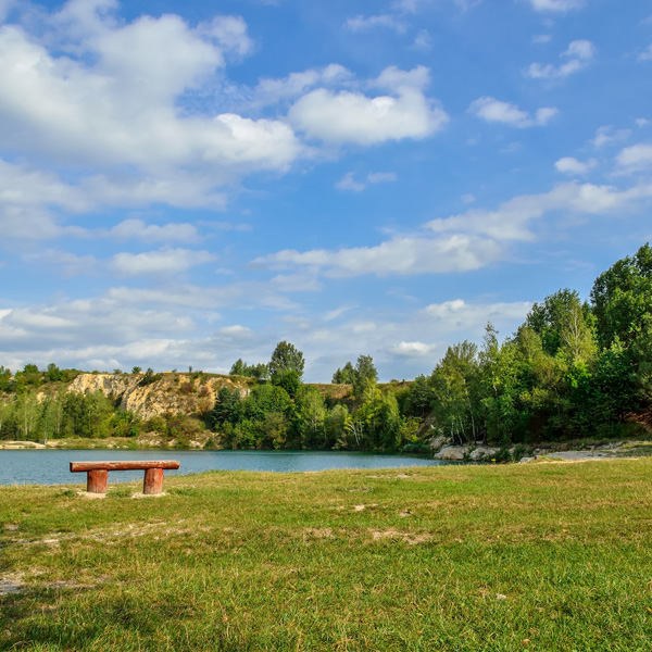 Gazons et prairies - Espaces péri-urbains  - Photo 1