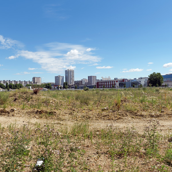 Gazons et prairies - Enherbement - Photo 1