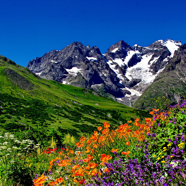 Enherbement Montagne