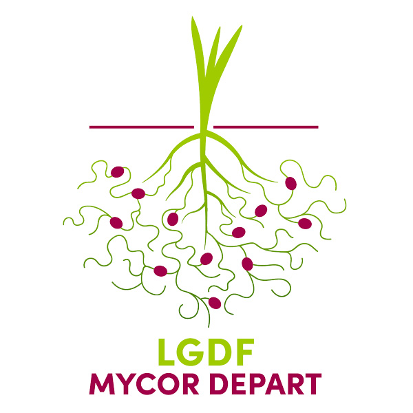 Mycorhizes à la demande