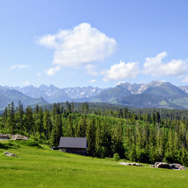 Gazons et prairies - Enherbement Montagne - Photo 1