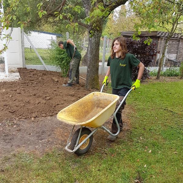 Petits travaux de jardinage