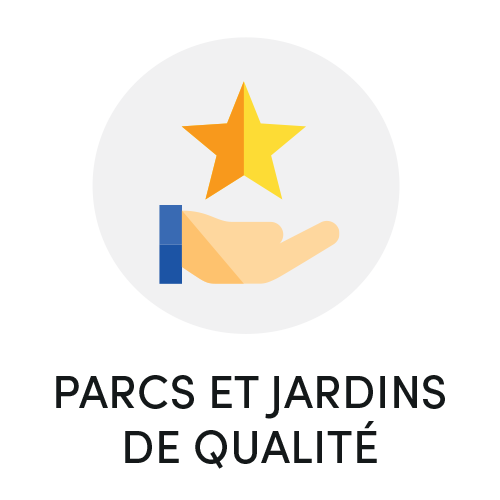 Gazon d’Ornement - Photo