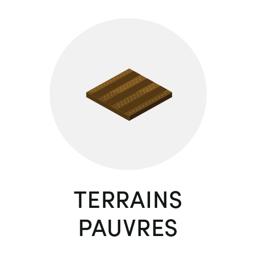 Espaces péri-urbains  - Photo