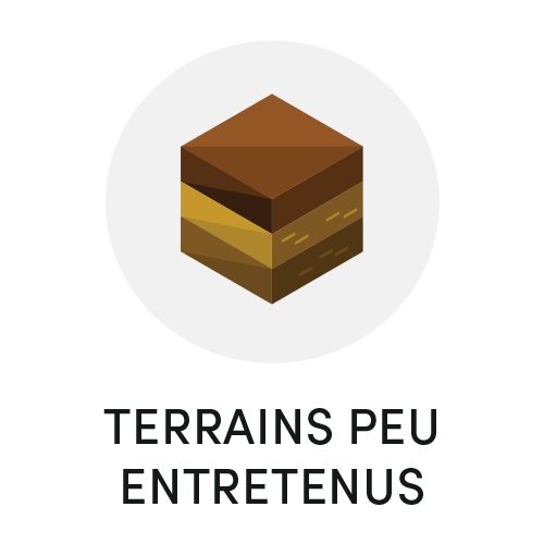 Enherbement - Photo