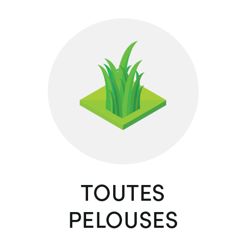Gazon terrains de sport - Photo