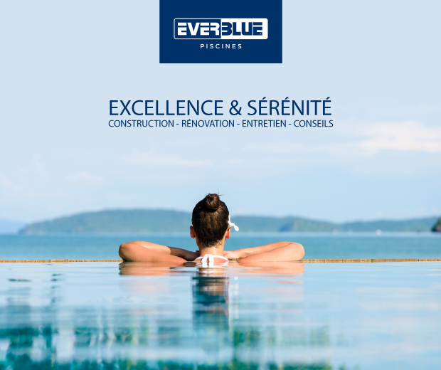 DSP, prestations et services - Réseau EVERBLUE - Photo 1