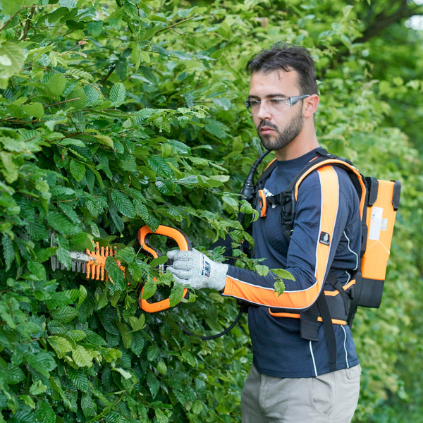 Taille-haies électrique Helion 3 : taille haie professionnel avec batterie  dorsal