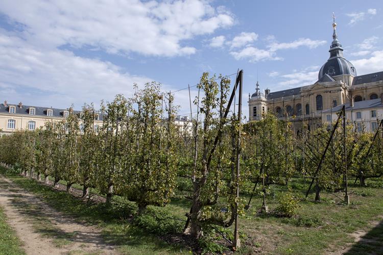 L’Ecole nationale supérieure de paysage fête ses 50 ans