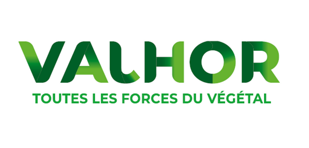 Nouveau logo de Valhor