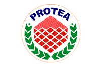 Protea