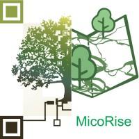 Infographie et paysage