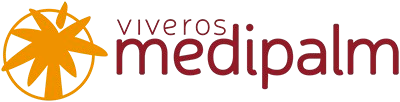 Medipalm