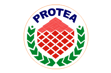 Protea