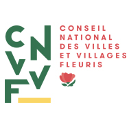 CNVVF